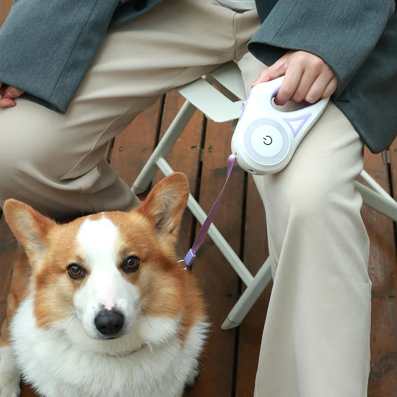 Correa para Perros con Luces LED